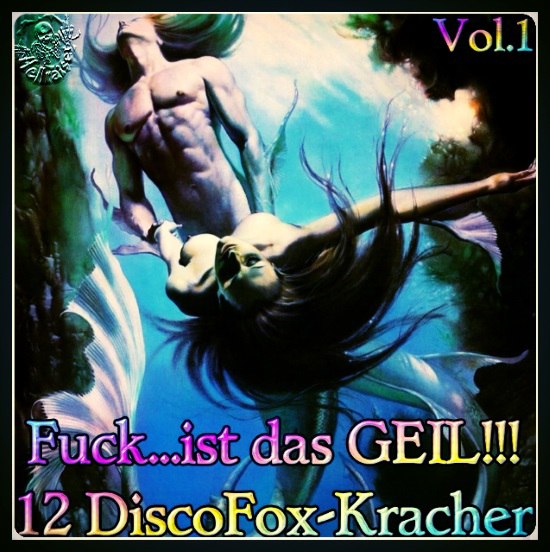 Fuck…ist das GEIL!!! – 12 DiscoFox-Kracher – Vol.01