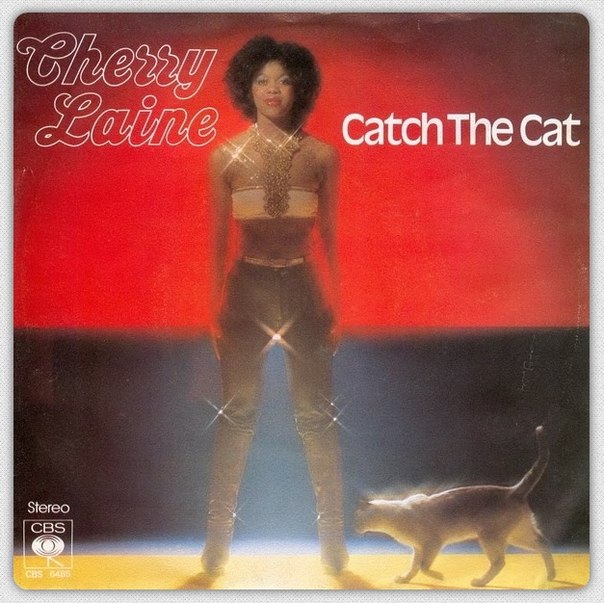 cherry laine - Catch the Cat